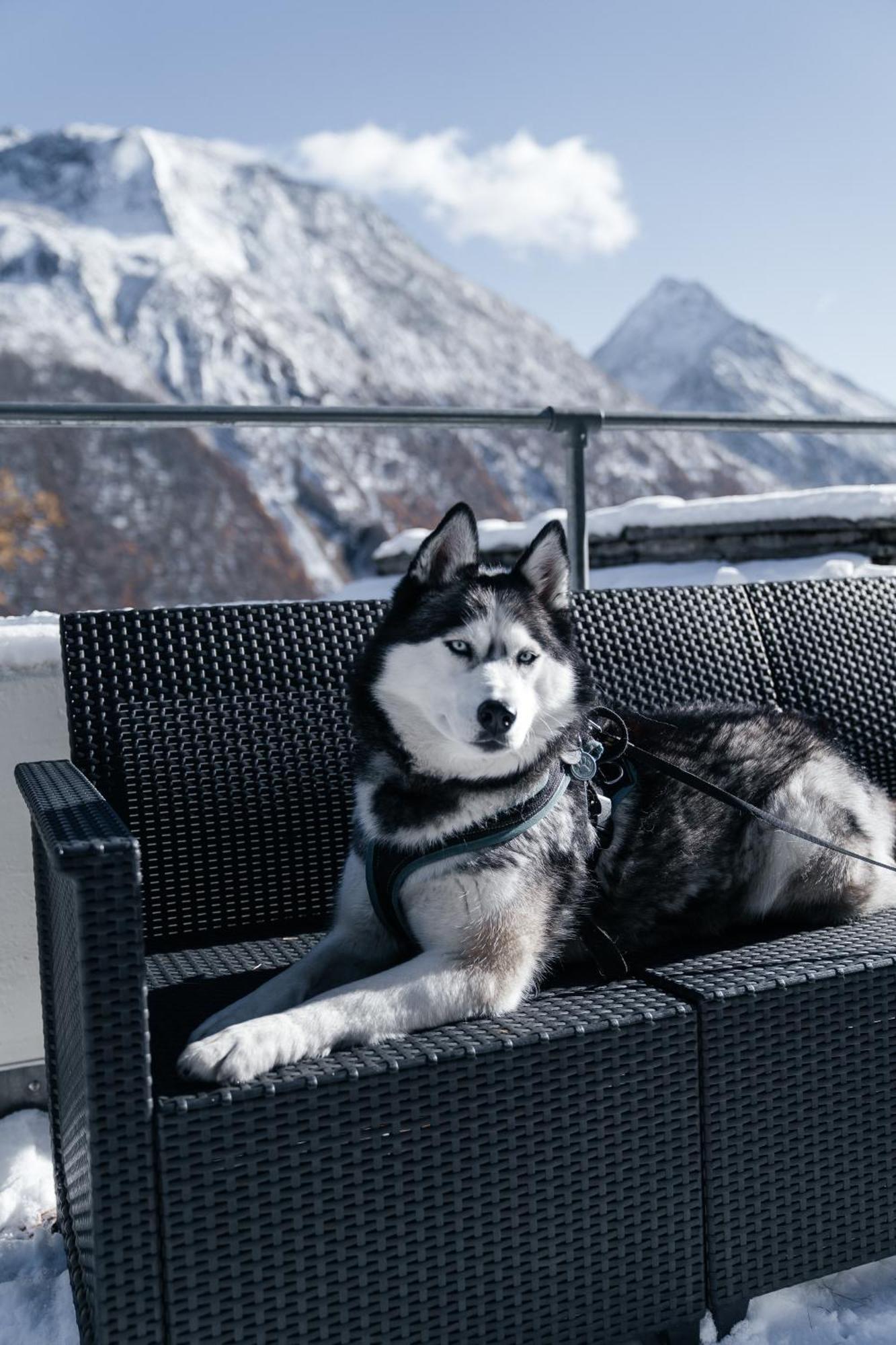 Waldhotel Fletschhorn Panoramic Retreat In Saas Fee Esterno foto